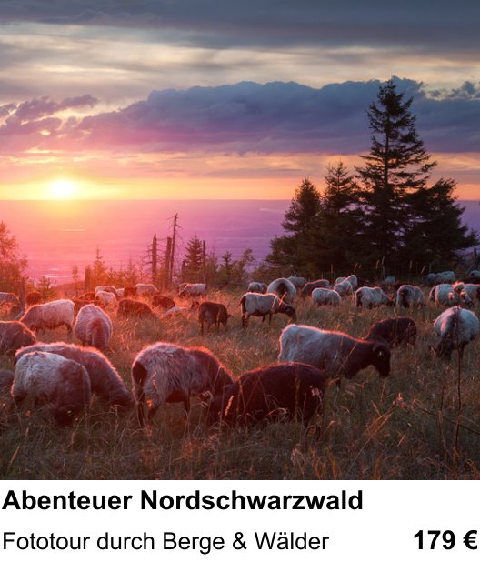Kontrastreicher Fotoworkshop: Abenteuer Nordschwarzwald – Fototour durch Berge & Wälder