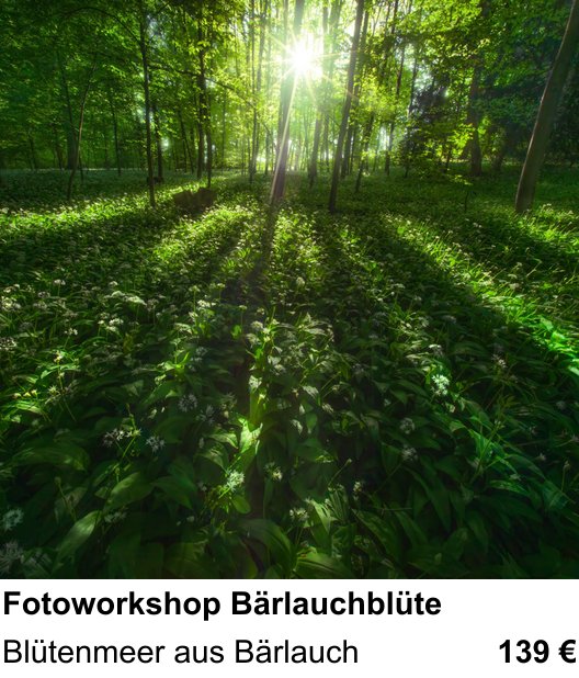 Kontrastreicher Fotoworkshop: Fotoworkshop Bärlauchblüte – Blütenmeer aus Bärlauch