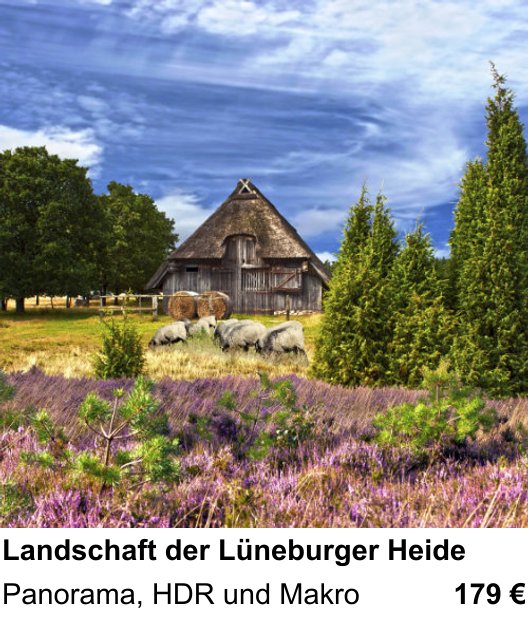 Kontrastreicher Fotoworkshop: Landschaft der Lüneburger Heide – Panorama, HDR und Makro