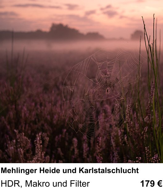 Kontrastreicher Fotoworkshop: Mehlinger Heide und Karlstalschlucht – HDR, Makro und Filter