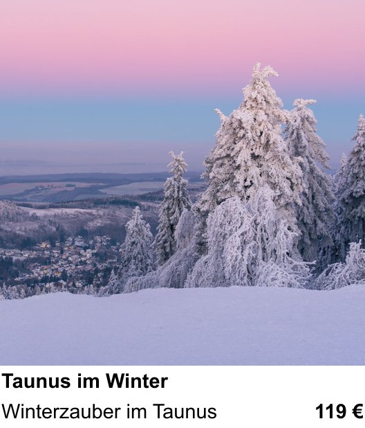Kontrastreicher Fotoworkshop: Taunus im Winter – Winterzauber im Taunus