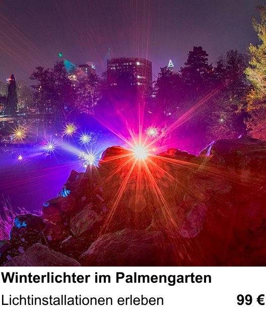 Kontrastreicher Fotoworkshop: Winterlichter im Palmengarten – Lichtinstallationen erleben